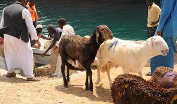 Soudan: plus de 15 000 moutons meurent noyés après le naufrage d'un navire