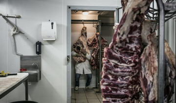 Une escroquerie européenne sur la viande de cheval jugée à Marseille 