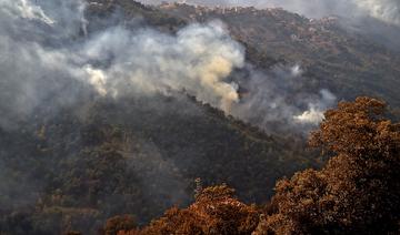 Deux morts dans des feux de forêt en Algérie 