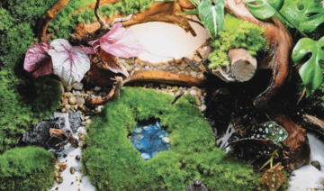 Un paysagiste saoudien recrée toute la beauté de la nature dans un pot