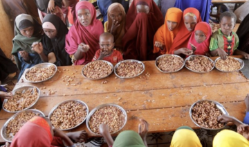 Les enfants somaliens meurent de faim «sous nos yeux» alors que l'aide occidentale s’amenuise