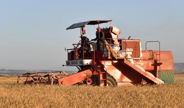 Touchée par la crise ukrainienne, la Tunisie cherche l'autosuffisance en blé dur
