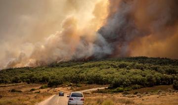 Maroc: les pompiers combattent de violents feux de forêt dans le nord