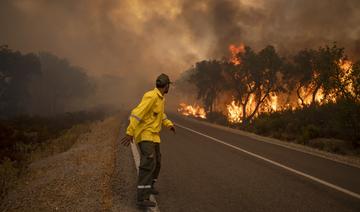Maroc: Des renforts pompiers et militaires pour maîtriser les feux de forêt