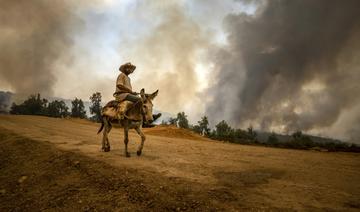 Maroc: Les principaux feux de forêts en passe d'être maîtrisés