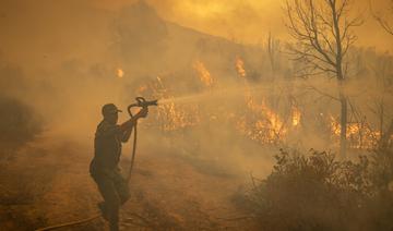 Maroc: Les feux de forêts circonscrits ou sous contrôle