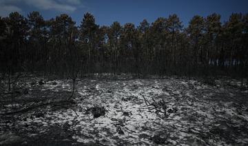 En Gironde, la situation continue à s'améliorer sur le front des incendies