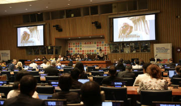 Riyad souligne les progrès accomplis dans la réalisation des objectifs de développement durable de l'ONU