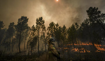 Violente reprise des feux de forêt dans le centre du Portugal