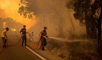 Maroc: Intensification des efforts pour maîtriser des feux de forêt