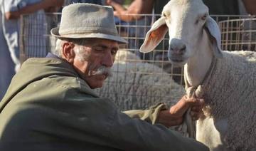 Aïd al-Adha en Algérie: piété, joie et solidarité 