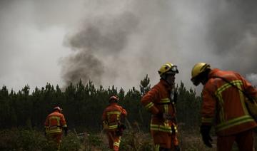 Incendies: les pompiers français et européens sur tous les fronts