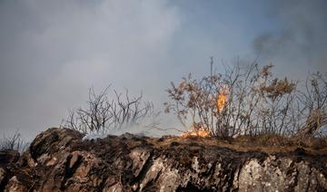 L'incendie dans les Alpilles «évolue peu», 136 ha parcourus par le feu