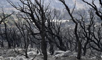 Algérie: au moins 43 personnes ont péri dans les derniers incendies