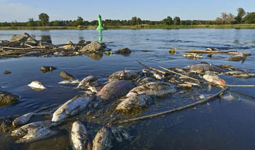 «Des poissons morts partout»: crainte de désastre environnemental en Allemagne et Pologne