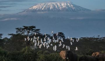 Tourisme: Le Kilimandjaro se met au haut débit pour attirer les amateurs d’alpinisme