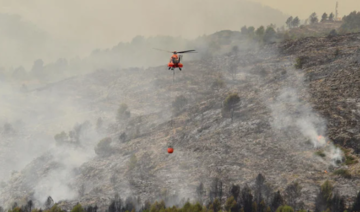 Le grand feu du centre du Portugal maîtrisé, deux incendies en Espagne freinés