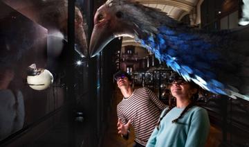 Revivre, les animaux disparus en réalité augmentée
