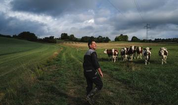 Exploitation laitière en France cherche repreneurs désespérément