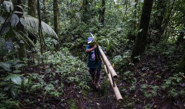 A l'ombre d'un volcan, un Indonésien aide des orchidées endémiques à refleurir