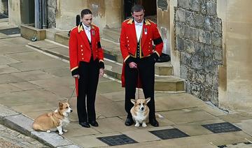 A Windsor, les corgis et un poney d'Elizabeth II participent aussi aux funérailles de leur reine 