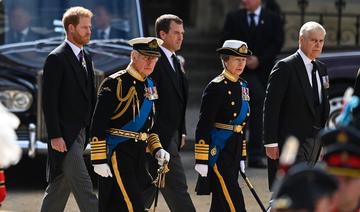 Royaume-Uni: Charles III veut empêcher Harry et Andrew d'assurer son intérim