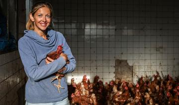 Une deuxième vie paisible pour les poules pondeuses sauvées de l'abattoir
