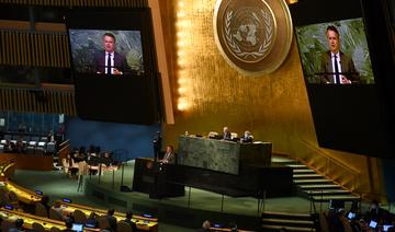 Vote à l'ONU sur l'Ukraine: Washington à l'offensive pour rallier les soutiens
