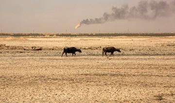 Moyen-Orient: vers des millions de déplacés climatiques?