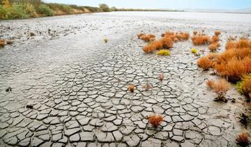 Préservation des zones humides: Un enjeu stratégique pour faire face au changement climatique