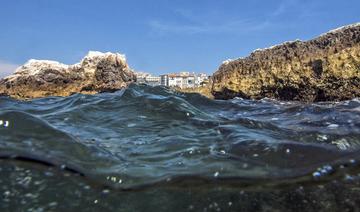 Dans la baie de Marseille, des nageurs en eau libre réclament plus de sécurité