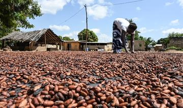 Face aux industriels du cacao, la Côte d'Ivoire et le Ghana se rebiffent 