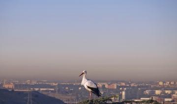 Pollution de l'air: l'Espagne condamnée par la justice européenne