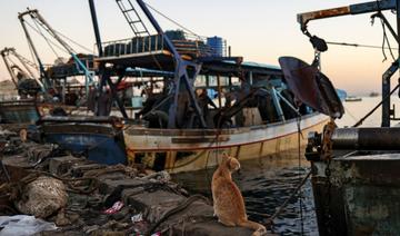 Petite révolution à Gaza: les pêcheurs peuvent enfin réparer leurs embarcations