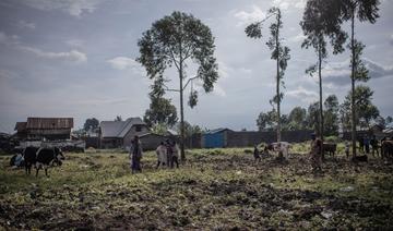 Massacre en RDC: au moins 131 civils tués par les rebelles du M23, selon l'ONU