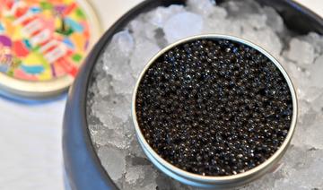 Science et transparence au service du caviar made in France