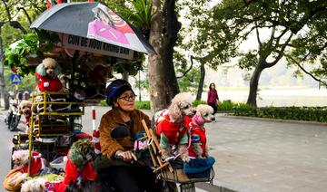 De joyeux chiens en balade à travers Hanoï contre la culture de la viande canine