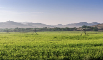 Une possible révolution agricole au Moyen-Orient grâce à la transformation de l’énergie en aliments