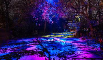 Lumières en Seine