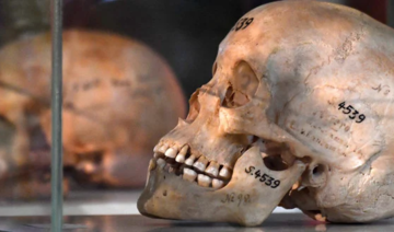 Une maison de vente aux enchères belge retire de la vente trois crânes africains et arabes 