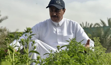 Un agriculteur saoudien investit dans la stévia pour une production alimentaire plus saine