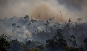 Un tiers de la forêt amazonienne «dégradée» par l'activité humaine et la sécheresse