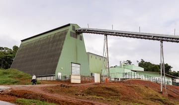 Guyane: polémique autour d'un projet de décret dérogatoire sur la biomasse