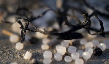 Les «  larmes de sirène  », une pollution omniprésente aux origines multiples