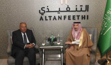 L'Egypte et l'Arabie Saoudite...une déclaration importante