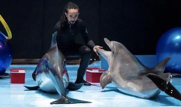 Foule aux spectacles de dauphins du festival Riyadh Season 