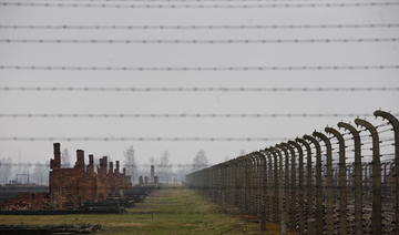 L'Album d'Auschwitz sous la loupe des historiens