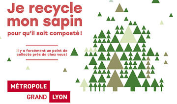 Collecte des sapins de Noël à Lyon