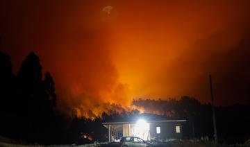 Chili: 23 morts dans des incendies de forêts, selon un nouveau bilan