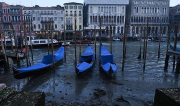 Un phénomène de basses marées met à sec des canaux de Venise 